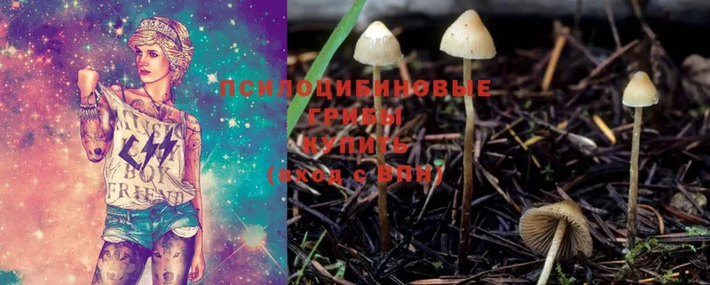 наркота  Зима  Псилоцибиновые грибы MAGIC MUSHROOMS 